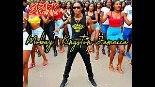 AI Boss  Mobay Kingston Jamaica Somg Reggae Dancehall [upl. by Nevram]