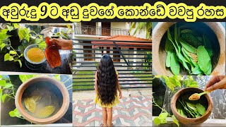 පේර කොලෙන් අවුරුද්දකින් මෙච්චර කොන්ඩේ වැවුනා Guava Leaf Hair Tonic pera kola sathkaraya hairtonic [upl. by Berger]