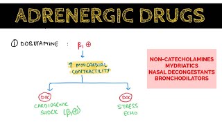 Autonomic Pharmacology  16  Adrenergic Drugs Continued  EOMS [upl. by Og619]