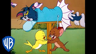 Tom y Jerry en Español  ¡Ppppájaros  WB Kids [upl. by Haggai100]