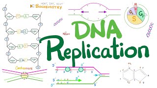 DNA replication in Prokaryotes amp Eukaryotes DETAILED  Molecular Biology 🧬 amp Biochemistry 🧪 [upl. by Ardnuhsed]