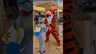 Jumpin with Tigger tigger disneyland disney plazainn winniethepooh disneyparks disneylife [upl. by Publias395]