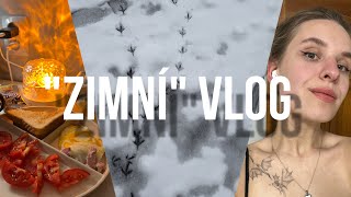 V RUSKU SE ZAČALA ZIMA ❄️ [upl. by Nerrat]