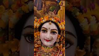 song radhekrishna youtube viralvideo oradha [upl. by Rudd]