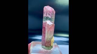 Bicolor TourmalineCrystal  PaprokTourmaline  TourmalineSpecimen  FineMineral [upl. by Adneral]