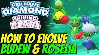 How to evolve BUDEW amp ROSELIA in Pokemon Brilliant Diamond and Shining Pearl [upl. by Chadwick513]