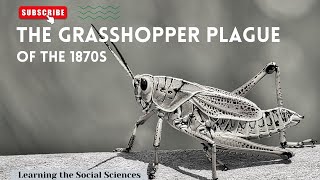 Grasshopper Plague of the 1870s When 125 Trillion Rocky Mountain Locust Invaded the Midwest [upl. by Rettuc]