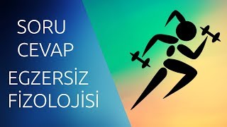 EGZERSİZ FİZYOLOJİSİ SORU CEVAPEndokrin Sisteme kadar [upl. by Oel]