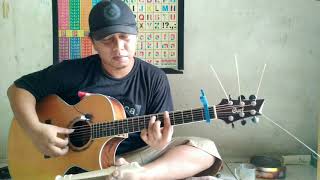 My Heart Will Go On  Celine Dion fingerstyle cover [upl. by Wiltsey]