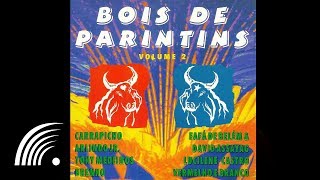 Fafá de Belém  Vermelho  Bois de Parintins vol2  Oficial [upl. by Redna]