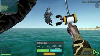 Florida DLC 2023  Caught Black Sea bass amp Atlantic Goliath Grouper  Ultimate Fishing Simulator [upl. by Hgiellek]