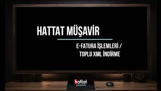 EFatura İşlemleri  Toplu XML İndirme [upl. by Creight257]