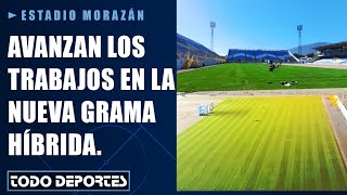 Buen avance En casi un 80 está el proceso de cosido de la grama híbrida del Estadio Morazán [upl. by Langill]