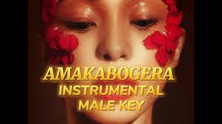 AMAKABOGERA MALE KEY KARAOKE  By Maymay Entrata [upl. by Ramberg618]