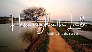 Discover the Beauty of Hesaraghatta Lake A Scenic Adventure in Bangalore [upl. by Moulton]