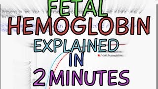 Fetal Hemoglobin  Foetal Haemoglobin  Explained in 2 Minutes [upl. by Cosimo]