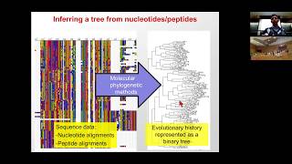 MIT CompBio Lecture 19  Phylogenetics [upl. by Nageek]