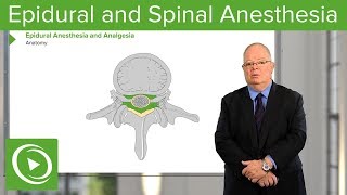 Neuraxial Blocks Epidural and Spinal Anesthesia amp Analgesia – Anesthesia  Lecturio [upl. by Sewoll]