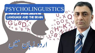 Psycholinguistics language and its brain [upl. by Erv]