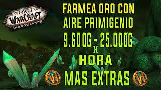 💰FARMEO de ORO💰 AIRE PRIMIGENIO  9600  25000 de ORO x Hora  World of Warcraft [upl. by Ettenad]