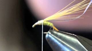 Barrs Emerger Fly Tying Instructions  How to tie BWO Emerger Video [upl. by Nivrae]