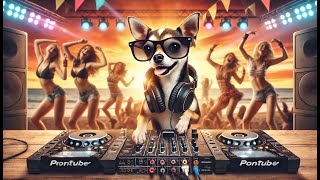 ¡La Fiesta del Chihuahua DJ Música Electrónica que Te Hará Bailar [upl. by Emarie]