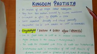 Class 11th  Kingdom protista  Biological Classification Part2  Chapter2 NOTES [upl. by Ulla87]