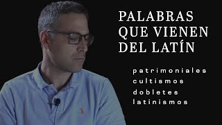 PALABRAS que vienen del LATÍN [upl. by Karole950]