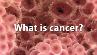 What is cancer What causes cancer and how is it treated UPDATE [upl. by Wilkins]