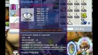 Maplestory Potential Scrolling amp Dual Blades shake amp Critical Ring [upl. by Hsekar]