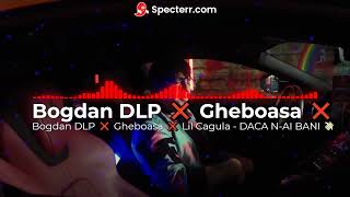 Bogdan DLP ❌ Gheboasa ❌ Lil Cagula  DACA NAI BANI 💸 [upl. by Ellennahs]