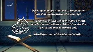 Hadithe für Ramadan  Nr 19  Ausversehen Essen  Trinken [upl. by Mattson]