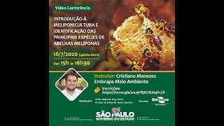 Vídeo conferência  introdução à meliponicultura e identificação das principais espécies de abelhas [upl. by Nonek]