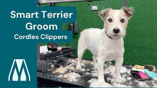 Masterclip Cordless Dog Clipper  MD Roamer Terrier Clip  A5 Clipper Blades doggrooming [upl. by Inge715]