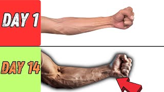 intense 5 m home minute forearm workout [upl. by Thayer]