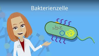 Bakterienzelle  Aufbau amp Funktion einfach erklärt  Studyflix [upl. by Tabber]