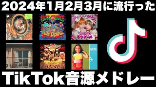 【TikTok】2024年1月2月3月に流行ったTikTok音源メドレー！ [upl. by Attaymik]