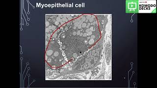 Salivary gland Histology practical part 1 [upl. by Strawn701]