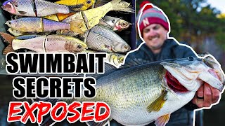 The Swimbait Fishing Secrets I NEVER should have shared [upl. by Elwaine]