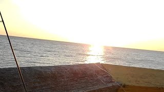 Myrtle beach pier fishing [upl. by Joanne51]