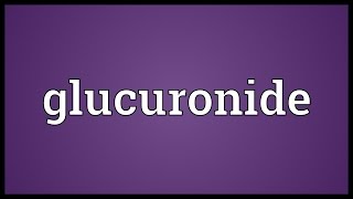 Glucuronide Meaning [upl. by Ateikan769]