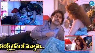 కరెక్ట్ టైమ్ కే వచ్చాను  Nagarjuna amp Tabu Romantic Scene  Aavida Maa Aavide Movie Scene [upl. by Kramnhoj]