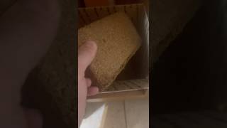 Coco coir substrate Where to find it and how to use it subscribe [upl. by Pirali802]