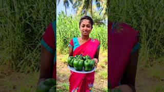 Capsicum Inside Egg Stuffing Recipe shorts [upl. by Nudnarb]