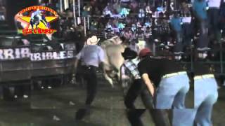 ¡¡MONTA ESPECTACULAR Guaymas de Xicotlan VS El Coyote de Rancho El Tecorral de chaucingogro [upl. by Aseneg]