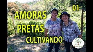 CULTIVANDO AMORAS E EXPERIÊNCIAS 12 Plantar em Casa [upl. by Mure]