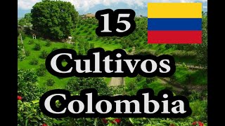 15 cultivos más sembrados en Colombia [upl. by Hawker]