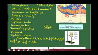 Biología 3 Los lípidos Ap 1 Características tipos y propiedades Los ácidos grasos [upl. by Levon]