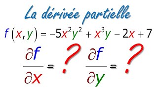 Introduction aux dérivées partielles [upl. by Hourigan]