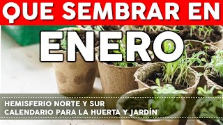 Calendario de Siembra 2023 Que sembrar en ENERO en el Huerto de Invierno y de Verano [upl. by Carlita]